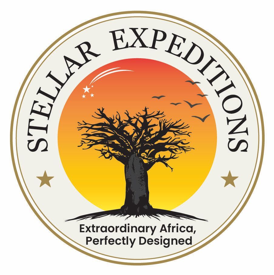 Stellar Expeditions Logo